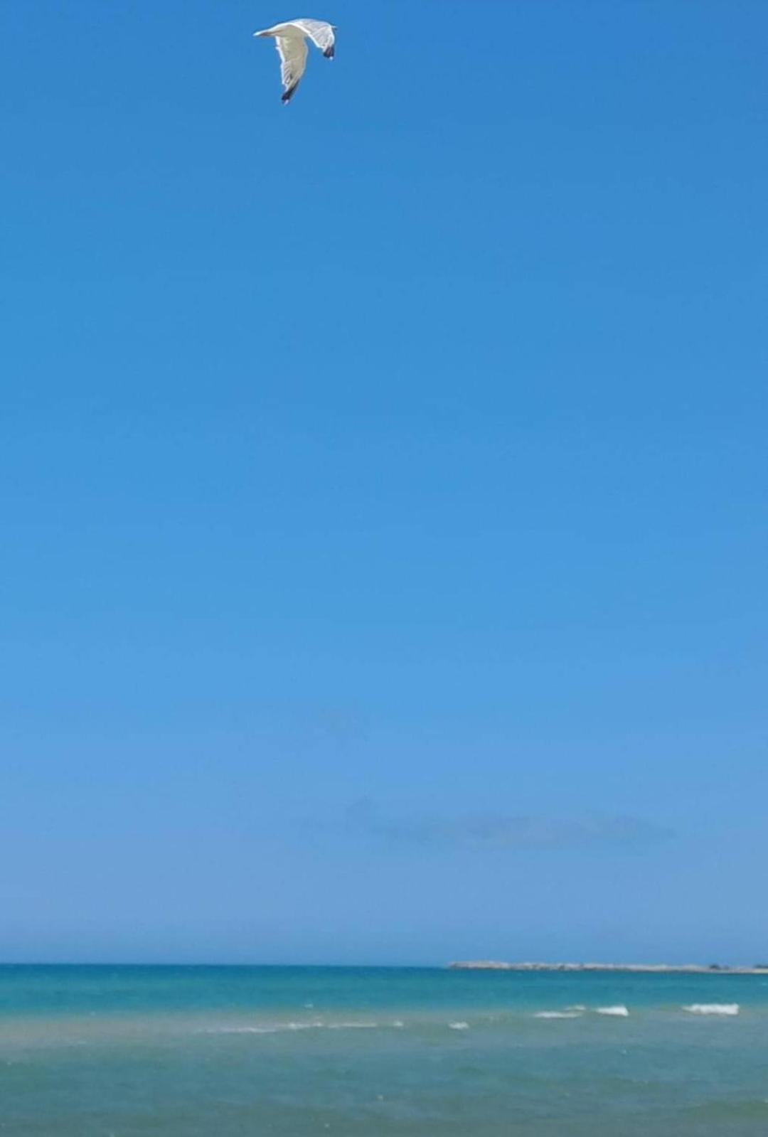 סיקוליאנה La Foggia Seaside Paradise מראה חיצוני תמונה